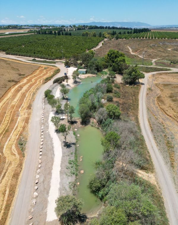 תמונה של עין עדעד: מעיין חדש מהניילונים - למטייל בישראל (טיולי)